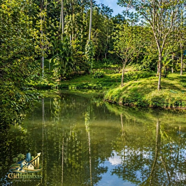 🌿 Chácara Exclusiva à Venda em Ipiabas — Espaço, Conforto e Alto Potencial de Renda: 30ª foto da galeria de imagens do imóvel