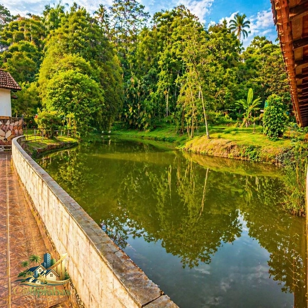🌿 Chácara Exclusiva à Venda em Ipiabas — Espaço, Conforto e Alto Potencial de Renda: 32ª foto da galeria de imagens do imóvel