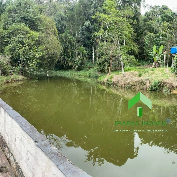 🌱 Casa a venda em Ipiabas, com 5 quartos, piscina, área gourmet,campo de futebol e lago.: 63ª foto da galeria de imagens do imóvel