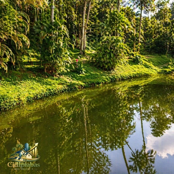 🌿 Chácara Exclusiva à Venda em Ipiabas — Espaço, Conforto e Alto Potencial de Renda: 31ª foto da galeria de imagens do imóvel