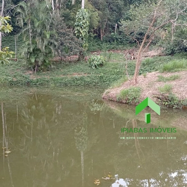 🌱 Casa a venda em Ipiabas, com 5 quartos, piscina, área gourmet,campo de futebol e lago.: 61ª foto da galeria de imagens do imóvel