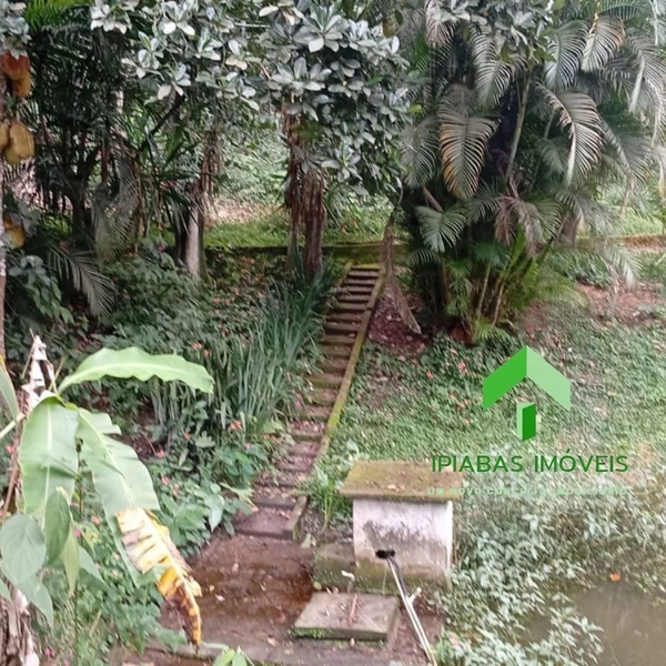 🌱 Casa a venda em Ipiabas, com 5 quartos, piscina, área gourmet,campo de futebol e lago.: 58ª foto da galeria de imagens do imóvel