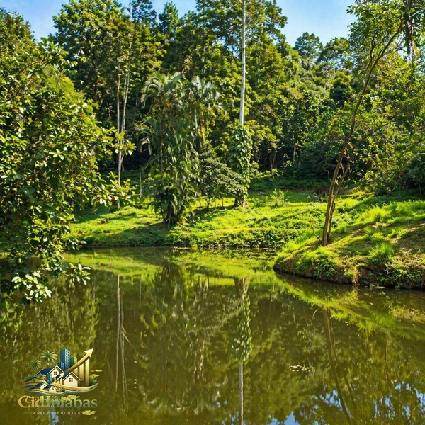 🌿 Chácara Exclusiva à Venda em Ipiabas — Espaço, Conforto e Alto Potencial de Renda: 29ª foto da galeria de imagens do imóvel