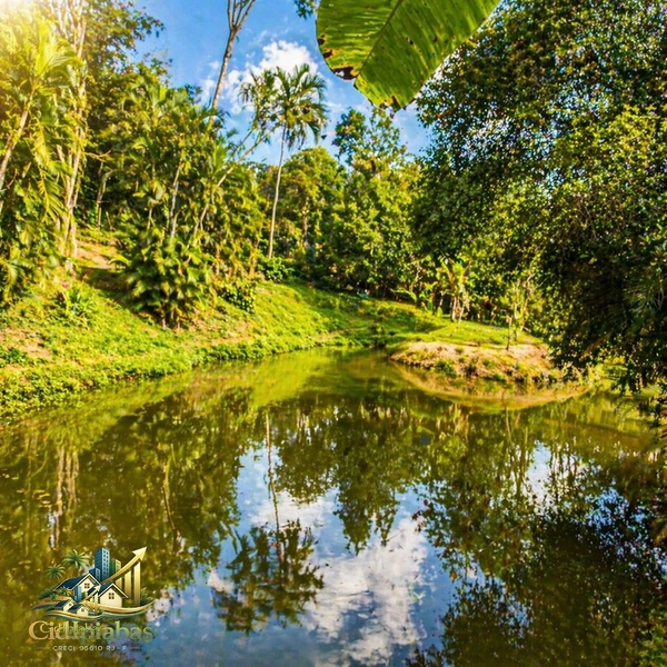 🌿 Chácara Exclusiva à Venda em Ipiabas — Espaço, Conforto e Alto Potencial de Renda: 35ª foto da galeria de imagens do imóvel