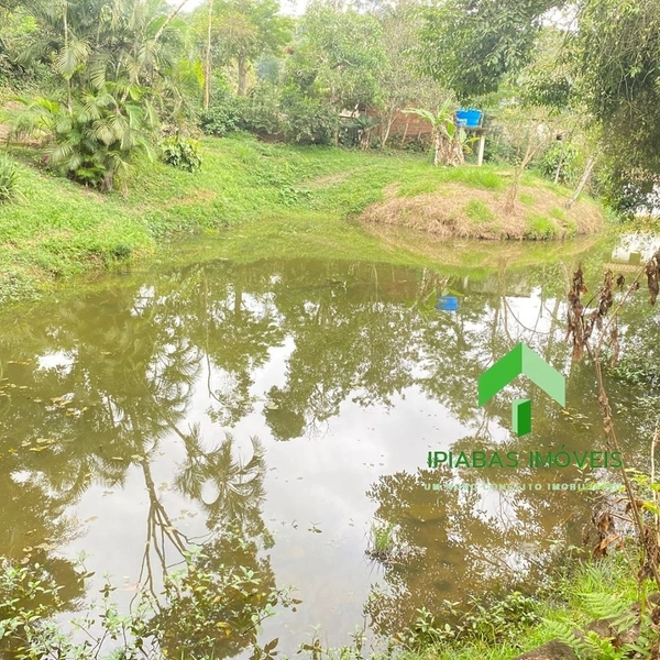 🌱 Casa a venda em Ipiabas, com 5 quartos, piscina, área gourmet,campo de futebol e lago.: 66ª foto da galeria de imagens do imóvel