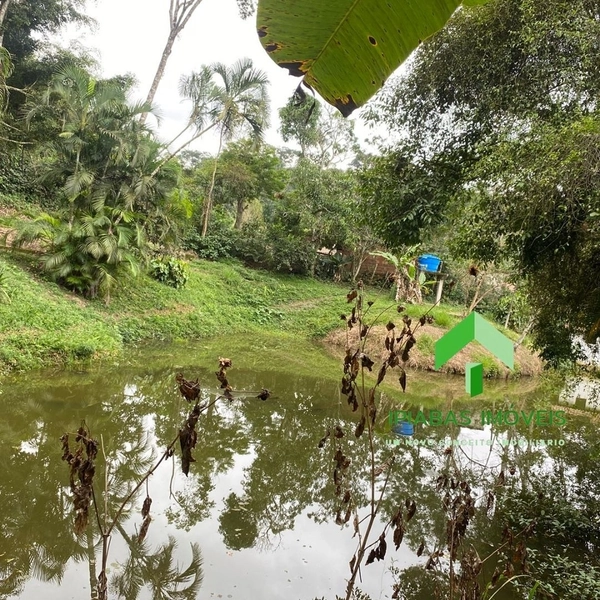 🌱 Casa a venda em Ipiabas, com 5 quartos, piscina, área gourmet,campo de futebol e lago.: 53ª foto da galeria de imagens do imóvel