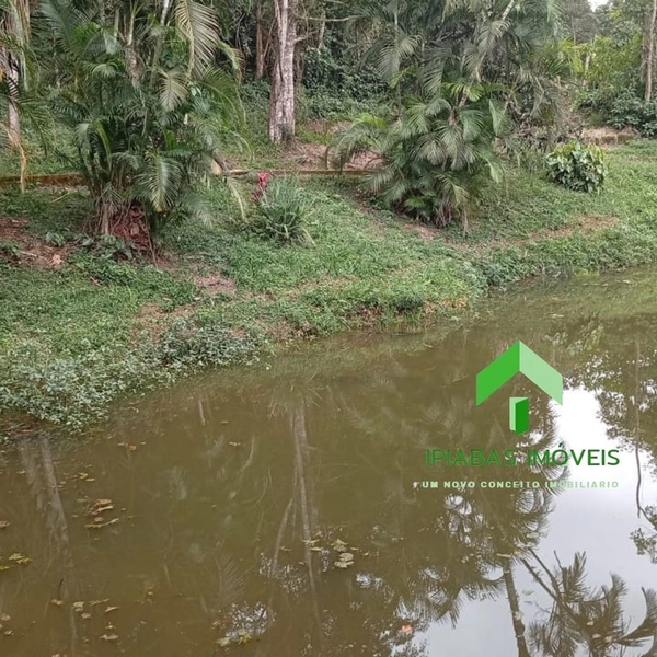 🌱 Casa a venda em Ipiabas, com 5 quartos, piscina, área gourmet,campo de futebol e lago.: 60ª foto da galeria de imagens do imóvel