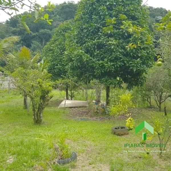 🌱 Terreno a venda em Ipiabas, com 1000 m2.: 13ª foto da galeria de imagens do imóvel