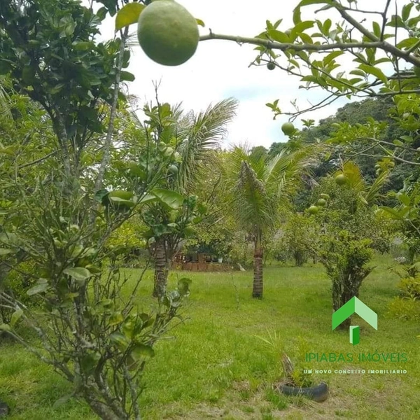 🌱 Terreno a venda em Ipiabas, com 1000 m2.: 4ª foto da galeria de imagens do imóvel