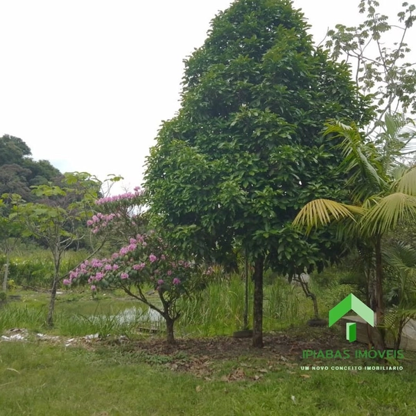 🌱 Terreno a venda em Ipiabas, com 1000 m2.: 14ª foto da galeria de imagens do imóvel