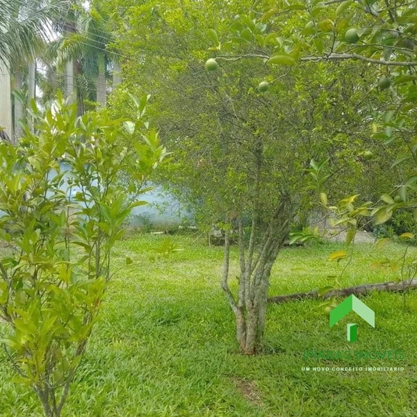 🌱 Terreno a venda em Ipiabas, com 1000 m2.: 6ª foto da galeria de imagens do imóvel