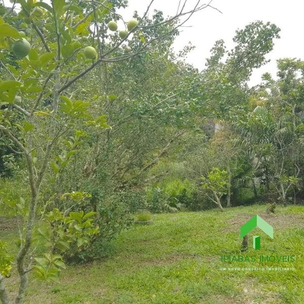 🌱 Terreno a venda em Ipiabas, com 1000 m2.: 3ª foto da galeria de imagens do imóvel