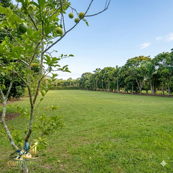 🌄 Terreno à Venda em Ipiabas – 1.000m² Plano, Murado e Pronto para Construir: 9ª foto da galeria de imagens do imóvel