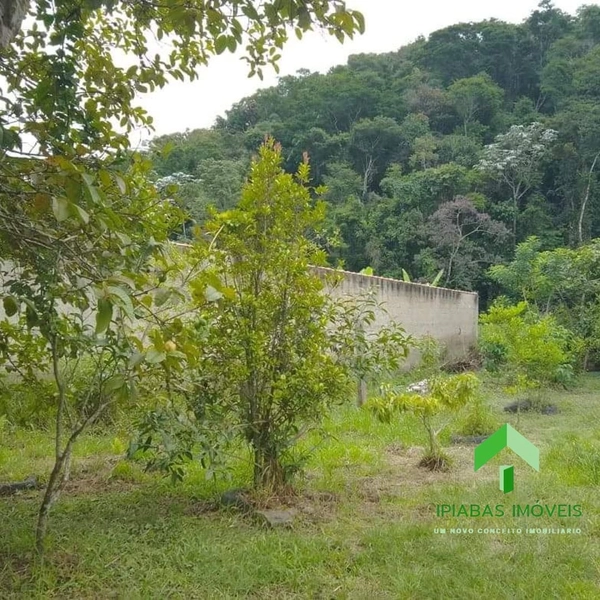 🌱 Terreno a venda em Ipiabas, com 1000 m2.: 7ª foto da galeria de imagens do imóvel