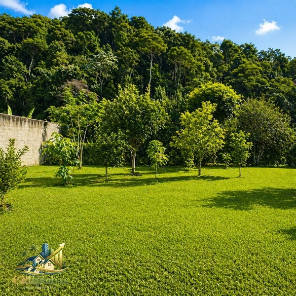 🌄 Terreno à Venda em Ipiabas – 1.000m² Plano, Murado e Pronto para Construir: 17ª foto da galeria de imagens do imóvel