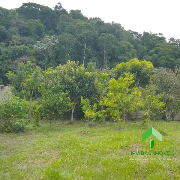 🌱 Terreno a venda em Ipiabas, com 1000 m2.: 9ª foto da galeria de imagens do imóvel