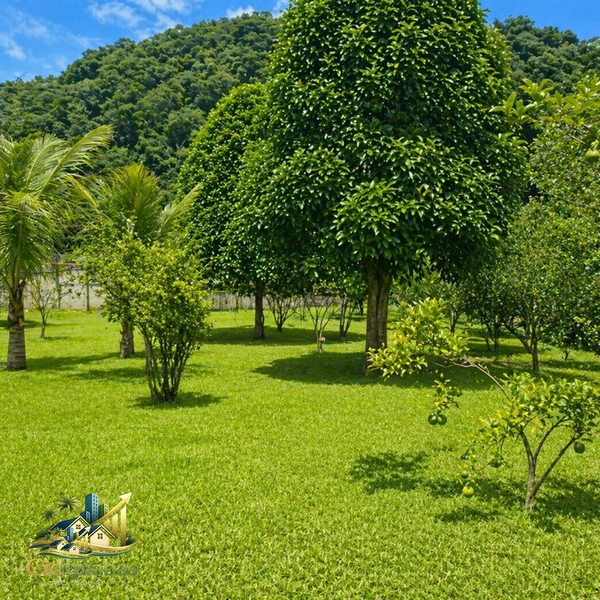 🌄 Terreno à Venda em Ipiabas – 1.000m² Plano, Murado e Pronto para Construir: 24ª foto da galeria de imagens do imóvel