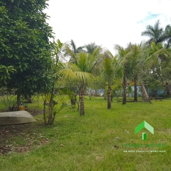 🌱 Terreno a venda em Ipiabas, com 1000 m2.: 15ª foto da galeria de imagens do imóvel