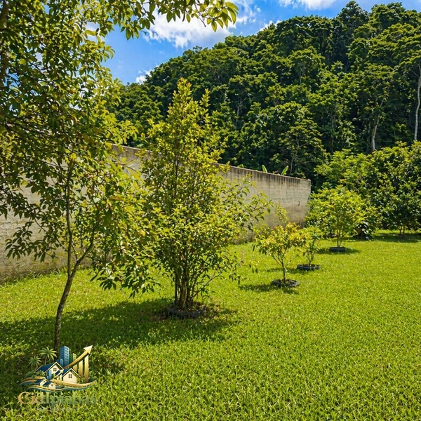 🌄 Terreno à Venda em Ipiabas – 1.000m² Plano, Murado e Pronto para Construir: 19ª foto da galeria de imagens do imóvel
