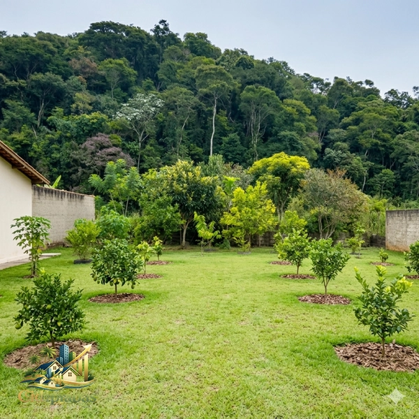 🌄 Terreno à Venda em Ipiabas – 1.000m² Plano, Murado e Pronto para Construir: 13ª foto da galeria de imagens do imóvel