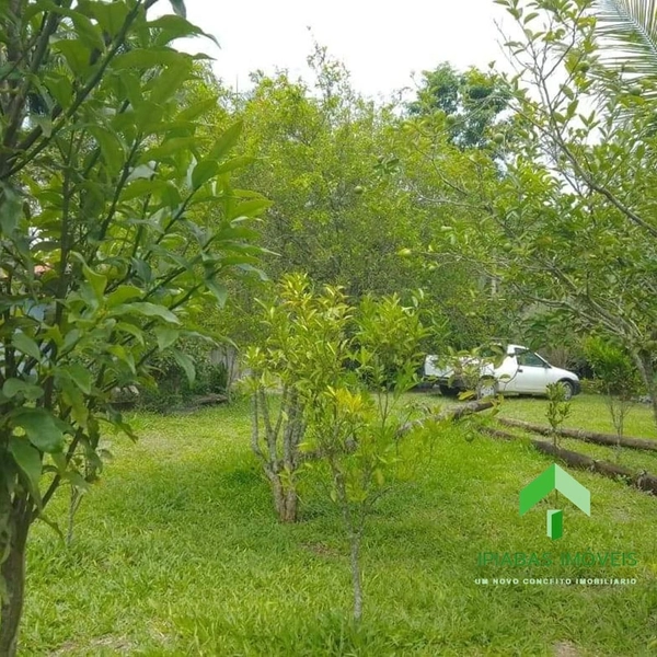 🌱 Terreno a venda em Ipiabas, com 1000 m2.: 5ª foto da galeria de imagens do imóvel