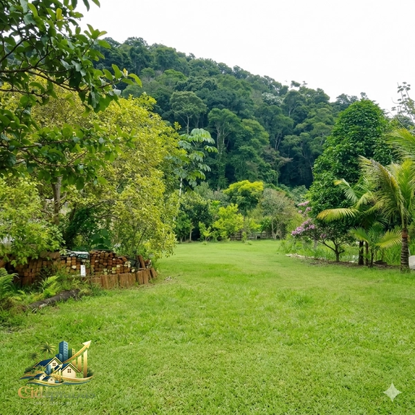 🌄 Terreno à Venda em Ipiabas – 1.000m² Plano, Murado e Pronto para Construir: 14ª foto da galeria de imagens do imóvel