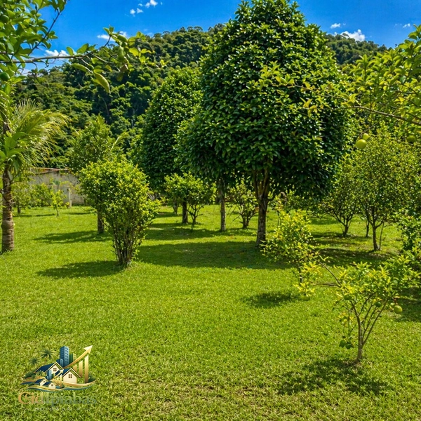 🌄 Terreno à Venda em Ipiabas – 1.000m² Plano, Murado e Pronto para Construir: 18ª foto da galeria de imagens do imóvel