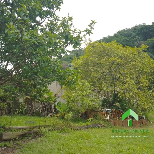 🌱 Terreno a venda em Ipiabas, com 1000 m2.: 17ª foto da galeria de imagens do imóvel