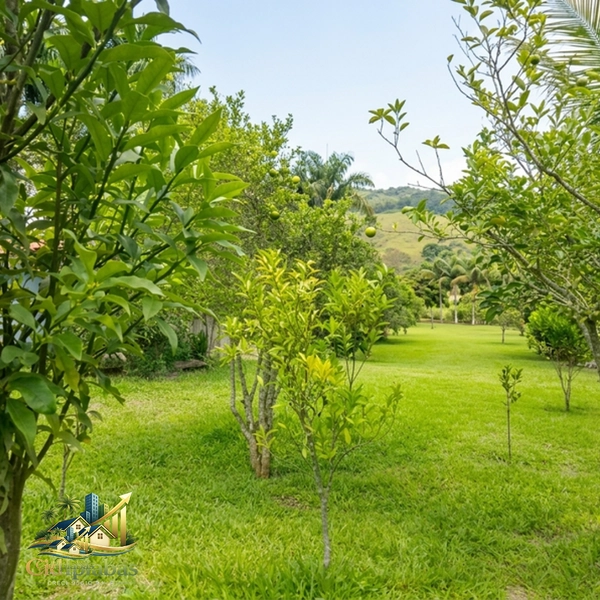 🌄 Terreno à Venda em Ipiabas – 1.000m² Plano, Murado e Pronto para Construir: 6ª foto da galeria de imagens do imóvel