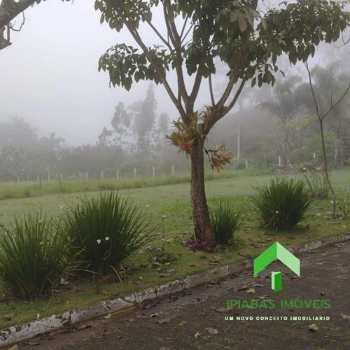🌱 Terreno a venda em Ipiabas, com 800 m2.: 8ª foto da galeria de imagens do imóvel
