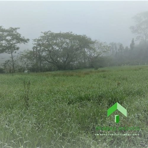 🌱 Terreno a venda em Ipiabas, com 800 m2.: 2ª foto da galeria de imagens do imóvel