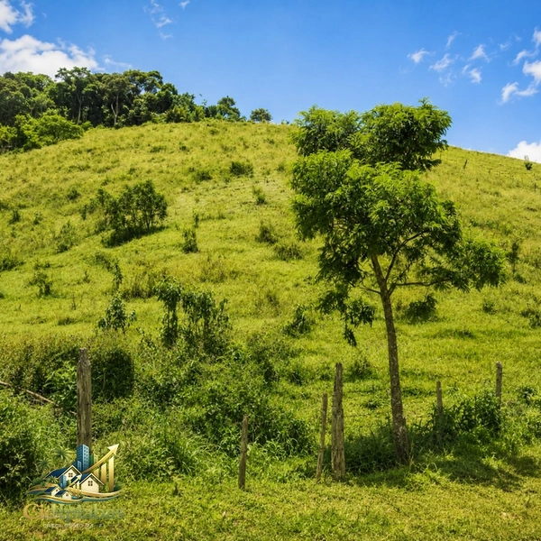 🌿 CHÁCARA À VENDA EM IPIABAS — NATUREZA, CHARME E QUALIDADE DE VIDA.: 20ª foto da galeria de imagens do imóvel