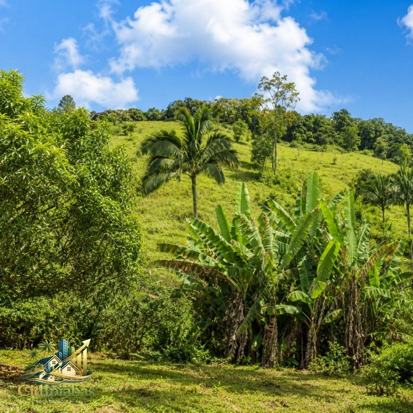 🌿 CHÁCARA À VENDA EM IPIABAS — NATUREZA, CHARME E QUALIDADE DE VIDA.: 22ª foto da galeria de imagens do imóvel