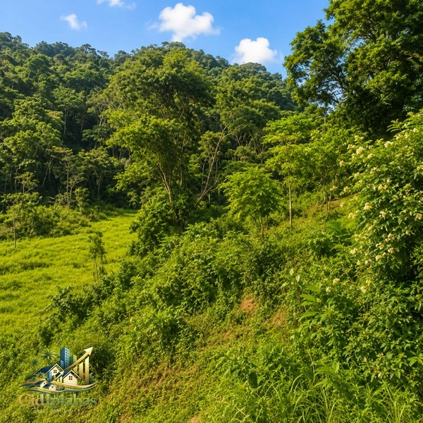 🌿 CHÁCARA À VENDA EM IPIABAS — NATUREZA, CHARME E QUALIDADE DE VIDA.: 24ª foto da galeria de imagens do imóvel