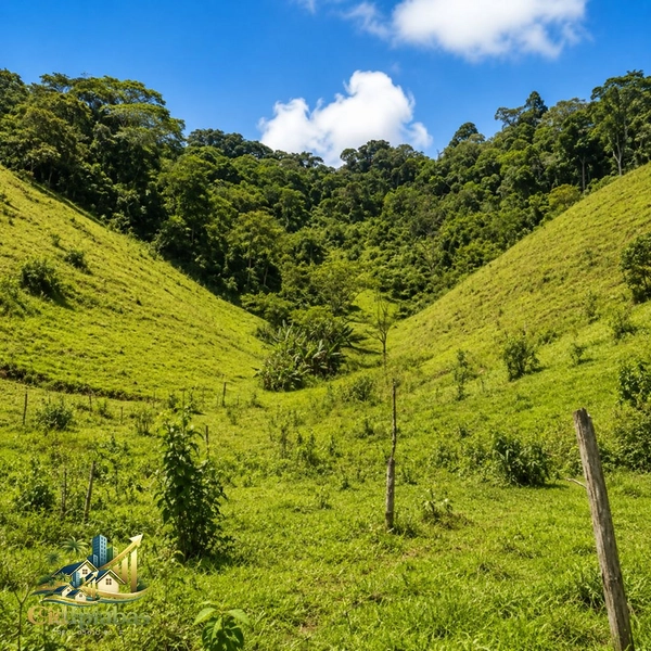 🌿 CHÁCARA À VENDA EM IPIABAS — NATUREZA, CHARME E QUALIDADE DE VIDA.: 18ª foto da galeria de imagens do imóvel