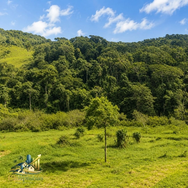 🌿 CHÁCARA À VENDA EM IPIABAS — NATUREZA, CHARME E QUALIDADE DE VIDA.: 21ª foto da galeria de imagens do imóvel