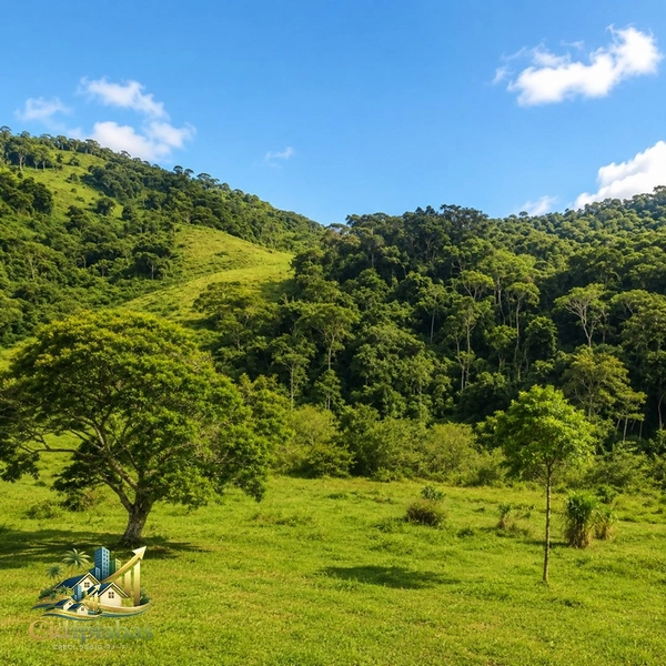 🌿 CHÁCARA À VENDA EM IPIABAS — NATUREZA, CHARME E QUALIDADE DE VIDA.: 19ª foto da galeria de imagens do imóvel