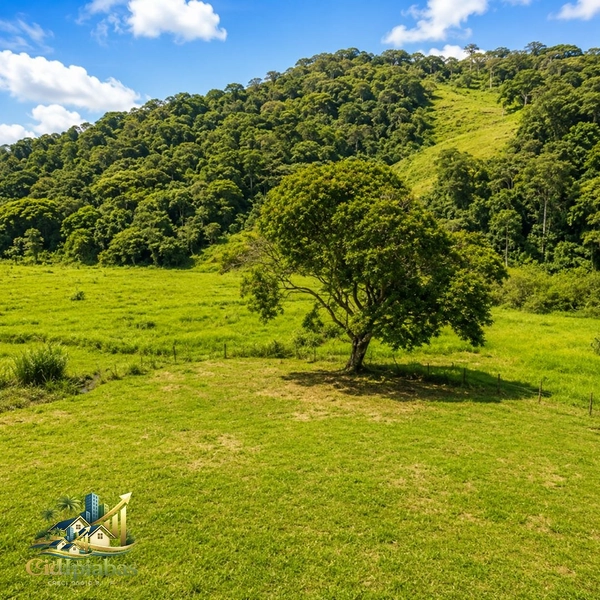 🌿 CHÁCARA À VENDA EM IPIABAS — NATUREZA, CHARME E QUALIDADE DE VIDA.: 23ª foto da galeria de imagens do imóvel
