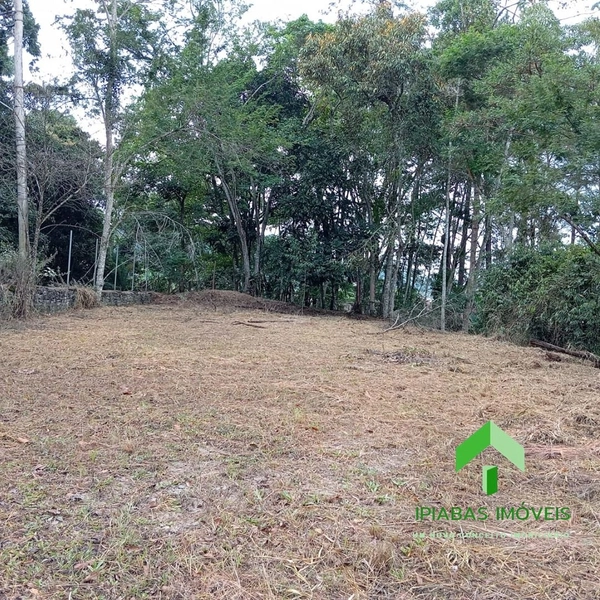 🌱 Terreno a venda em Ipiabas, com 600 m2: 5ª foto da galeria de imagens do imóvel