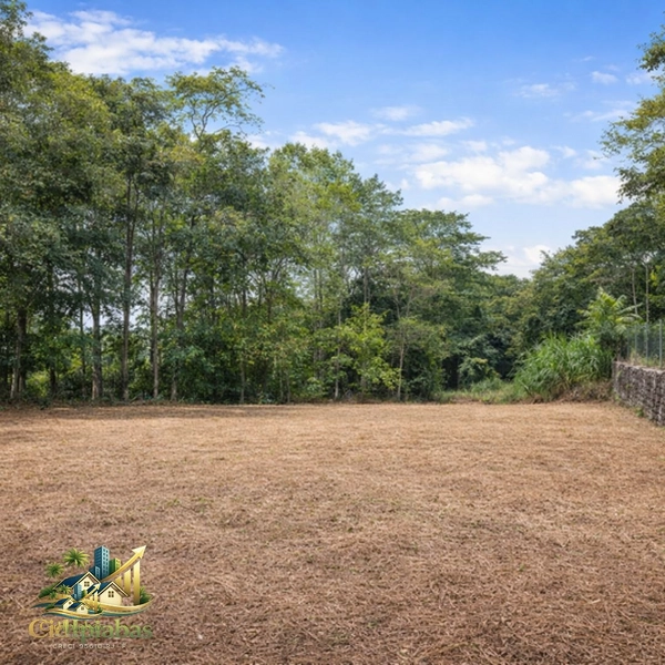 🌄 Terreno Plano à Venda em Ipiabas – 600m² ao lado do Restaurante Adolfina: 2ª foto da galeria de imagens do imóvel