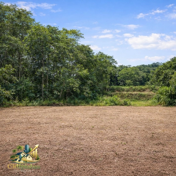 🌄 Terreno Plano à Venda em Ipiabas – 600m² ao lado do Restaurante Adolfina: 9ª foto da galeria de imagens do imóvel