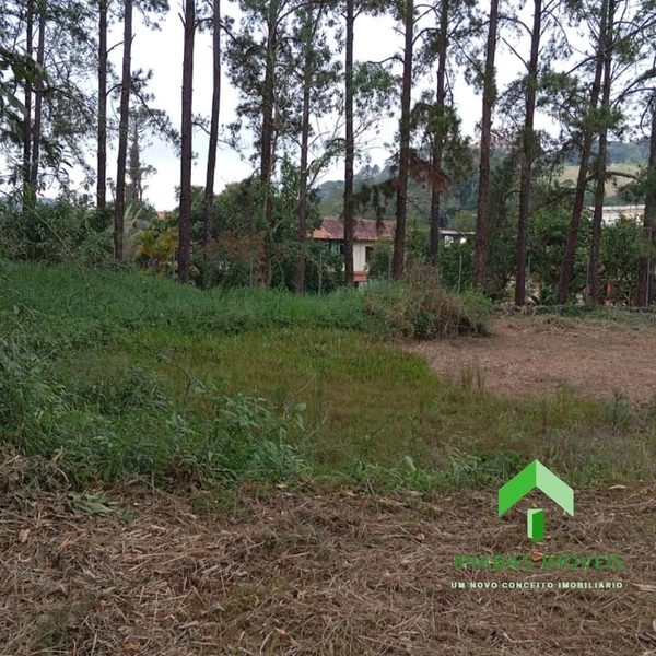 🌱 Terreno a venda em Ipiabas, com 600 m2: 13ª foto da galeria de imagens do imóvel