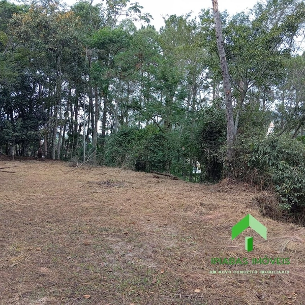 🌱 Terreno a venda em Ipiabas, com 600 m2: 9ª foto da galeria de imagens do imóvel