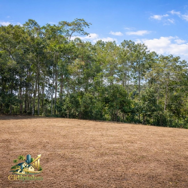 🌄 Terreno Plano à Venda em Ipiabas – 600m² ao lado do Restaurante Adolfina: 7ª foto da galeria de imagens do imóvel