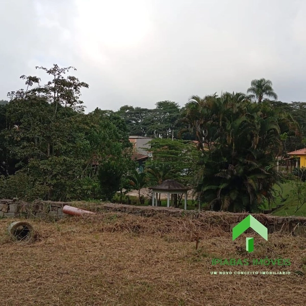 🌱 Terreno a venda em Ipiabas, com 600 m2: 15ª foto da galeria de imagens do imóvel