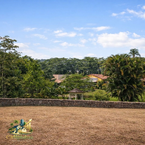 🌄 Terreno Plano à Venda em Ipiabas – 600m² ao lado do Restaurante Adolfina: 3ª foto da galeria de imagens do imóvel