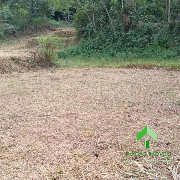 🌱 Terreno a venda em Ipiabas, com 600 m2: 6ª foto da galeria de imagens do imóvel