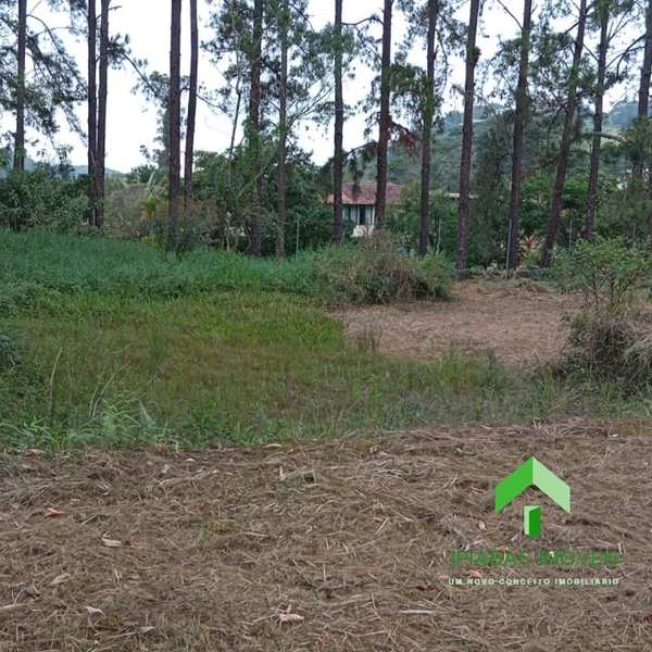 🌱 Terreno a venda em Ipiabas, com 600 m2: 11ª foto da galeria de imagens do imóvel