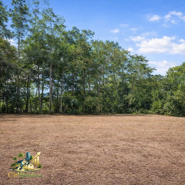 🌄 Terreno Plano à Venda em Ipiabas – 600m² ao lado do Restaurante Adolfina: 5ª foto da galeria de imagens do imóvel