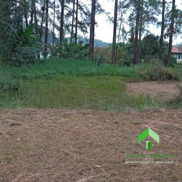 🌱 Terreno a venda em Ipiabas, com 600 m2: 10ª foto da galeria de imagens do imóvel